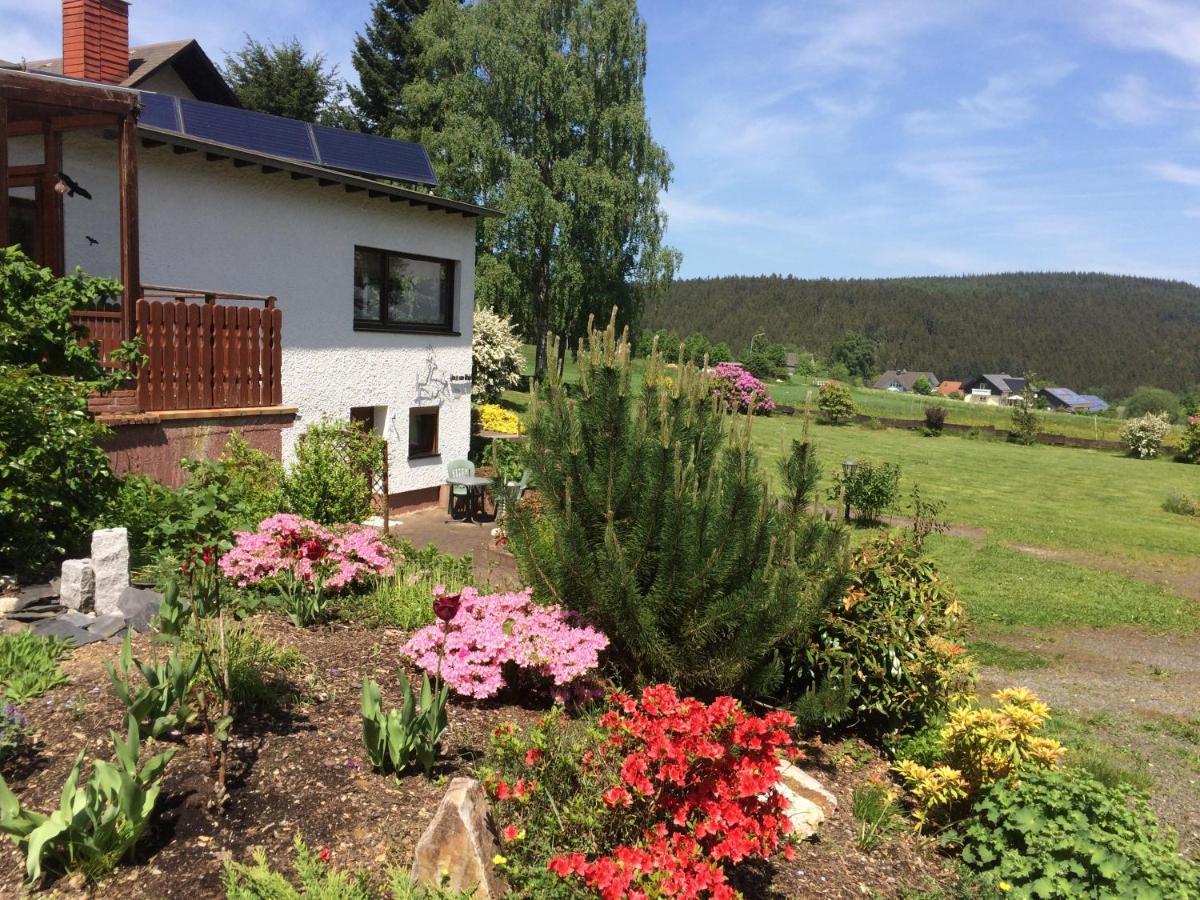 Haus Am Wald - Urlaub Am Nationalpark Apartment Langweiler  Bagian luar foto