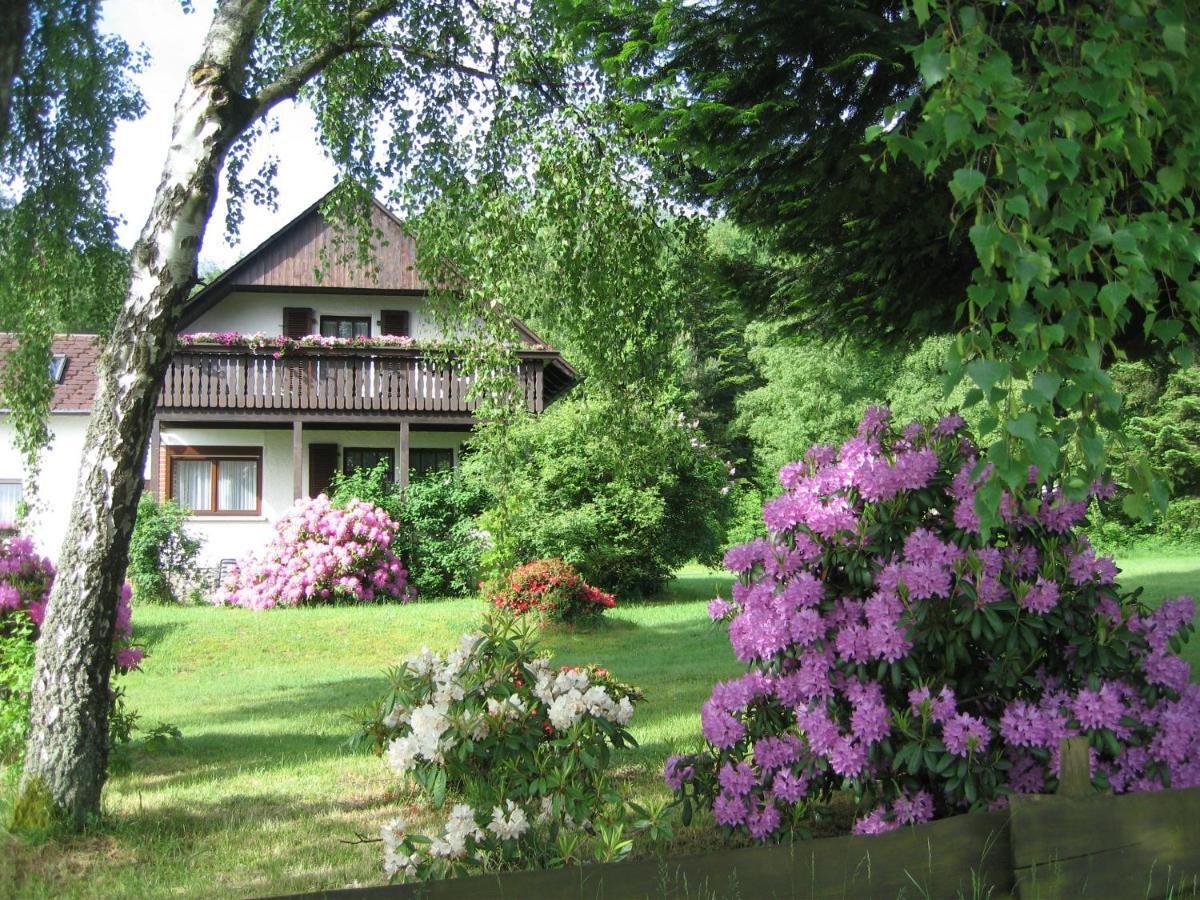 Haus Am Wald - Urlaub Am Nationalpark Apartment Langweiler  Bagian luar foto